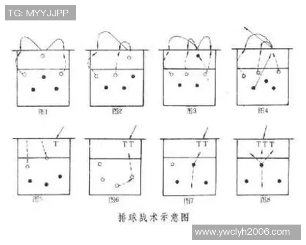 深圳排球队转换打法深度分析与战术创新探讨 深圳排球队转换打法深度分析与战术创新探讨