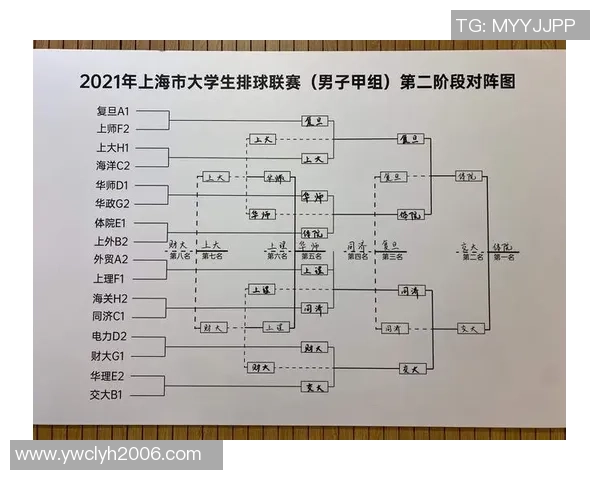 赛后分析：上海排球队与深圳排球队个人能力对比及表现评估