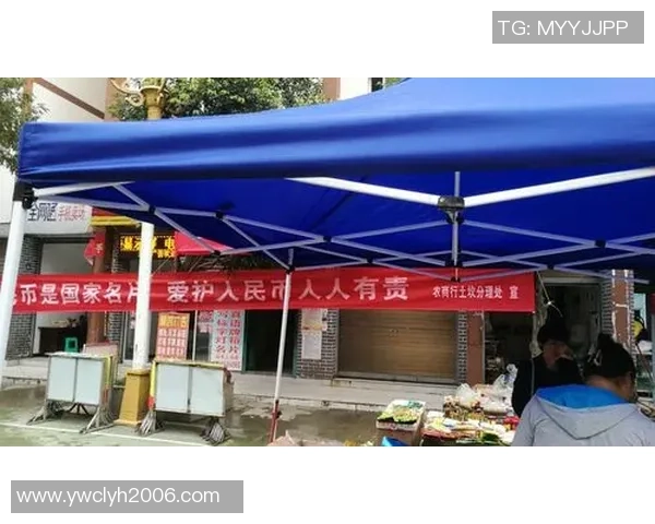 专业解读：重庆足球队的防反打法